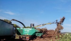 Biomasa forestal. Un combustible ecológico