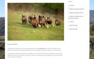 Página web de la Sociedad de Cazadores Bisaura. Caza del jabalí