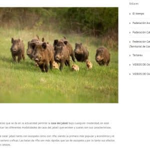 Página web de la Sociedad de Cazadores Bisaura. Caza del jabalí