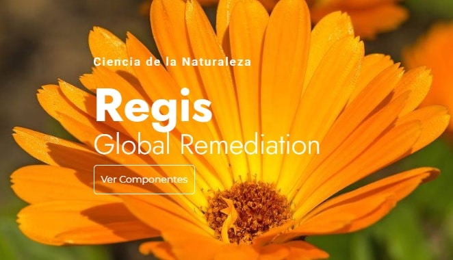 Regis Global Remediation